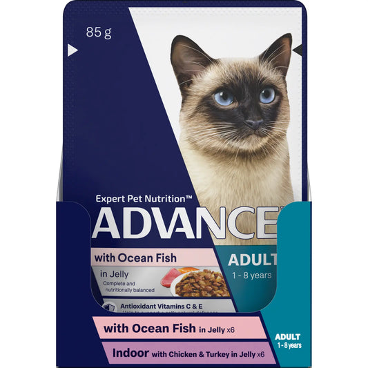 ADVANCE™ Adult  with Ocean Fish in Jelly & Indoor Cat Chicken & Turkey Pouches