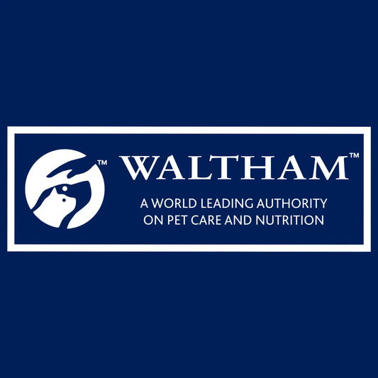 ADVANCE™ Joint Health Adult Wet Dog Food with Salmon Roll 2kg