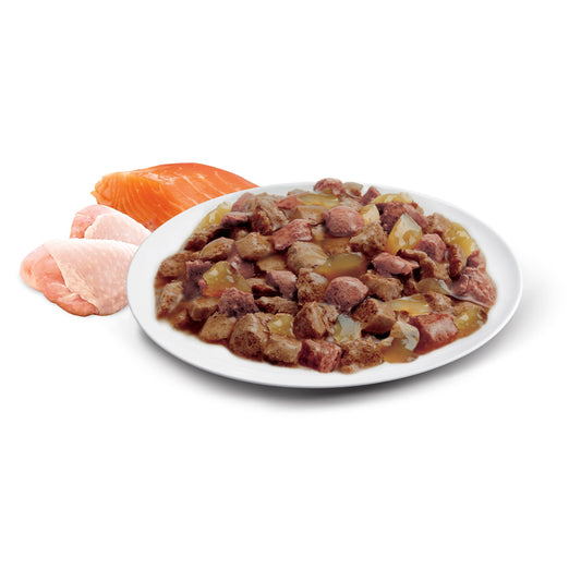 ADVANCE™ Adult  with Ocean Fish in Jelly & Indoor Cat Chicken & Turkey Pouches