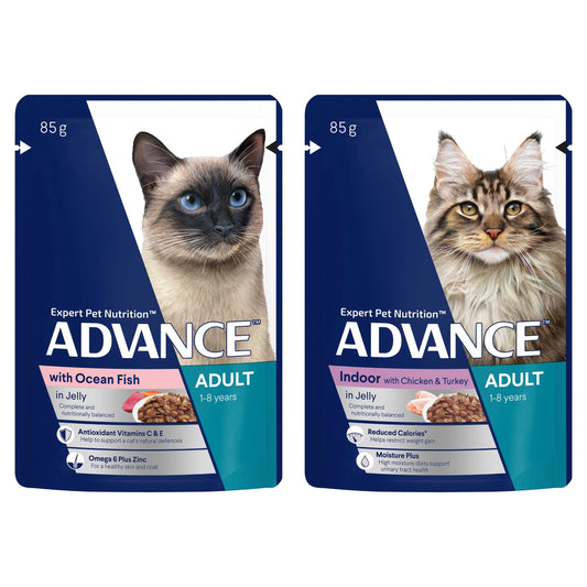 ADVANCE™ Adult  with Ocean Fish in Jelly & Indoor Cat Chicken & Turkey Pouches