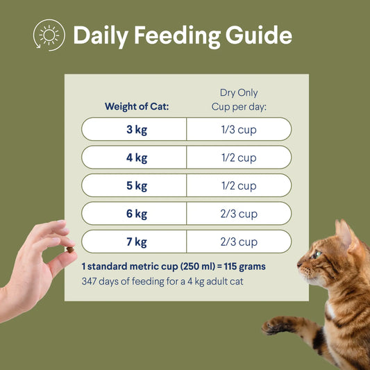 How Much Food Does a Cat Need Per Day: Ultimate Feeding Guide