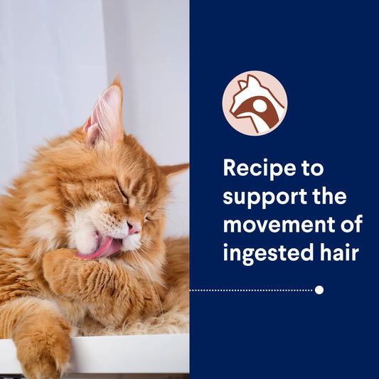ADVANCE™ Hairball Adult Chicken