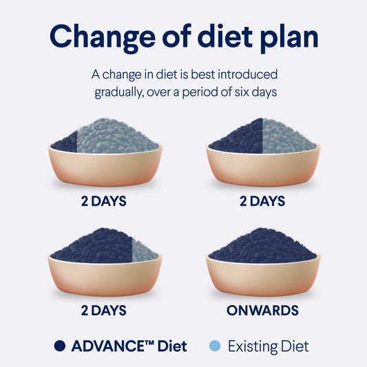 ADVANCE™ Sensitive Skin & Digestion Adult Turkey