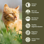 ADVANCE™ Sensitive Skin & Digestion Adult Turkey