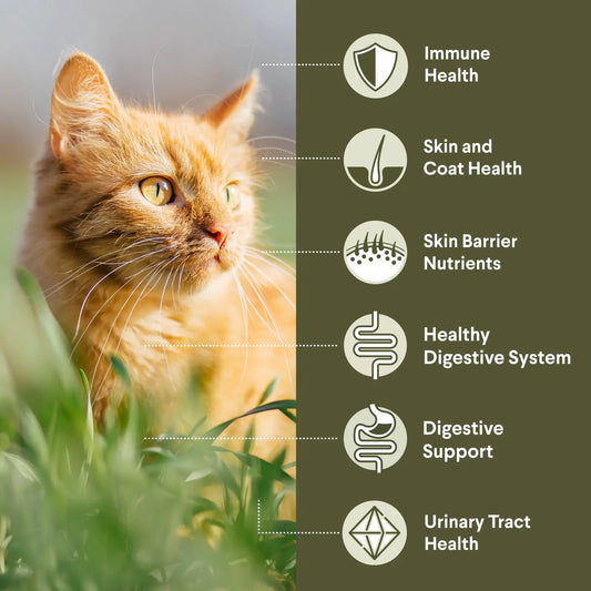 ADVANCE™ Sensitive Skin & Digestion Adult Turkey