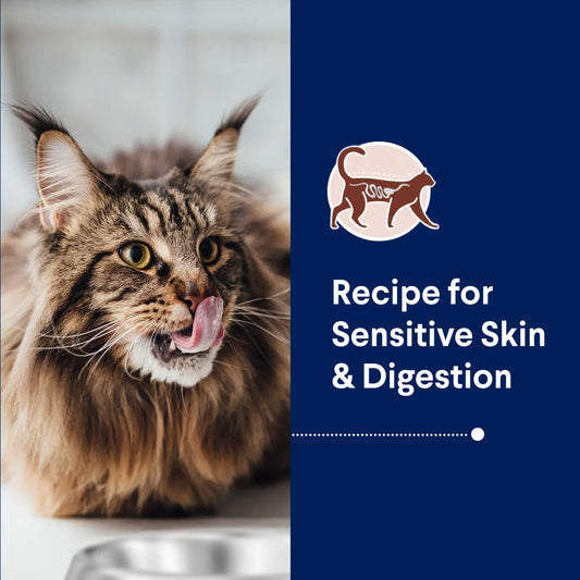 ADVANCE™ Sensitive Skin & Digestion Adult Turkey