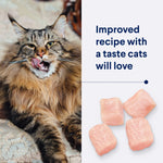 ADVANCE™ Healthy Ageing Adult Chicken