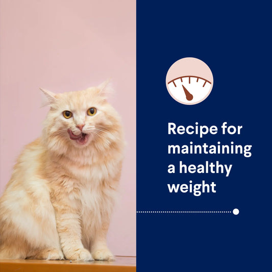 ADVANCE™ Healthy Weight Adult Chicken