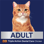 ADVANCE Triple Action Dental Care Adult Chicken