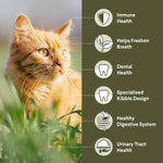 ADVANCE Triple Action Dental Care Adult Chicken