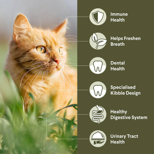 ADVANCE Triple Action Dental Care Adult Chicken