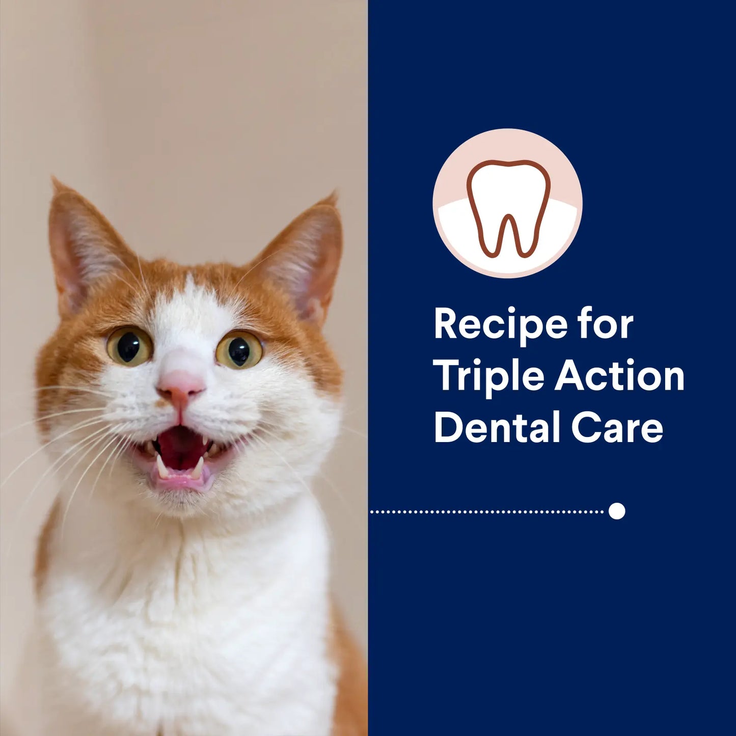 ADVANCE Triple Action Dental Care Adult Chicken