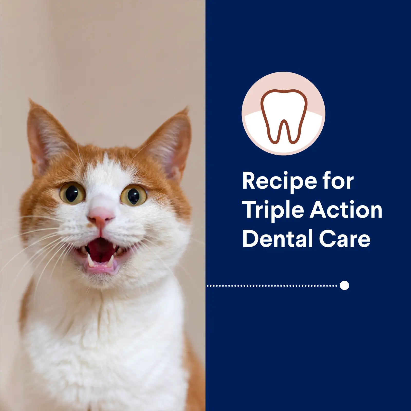ADVANCE Triple Action Dental Care Adult Chicken