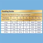 ADVANCE™ Puppy Oodles Wet Dog Food with Turkey and Rice
