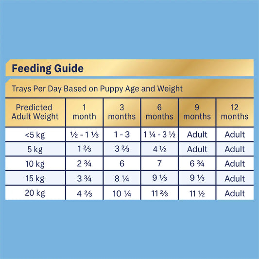 ADVANCE™ Puppy Oodles Wet Dog Food with Turkey and Rice