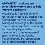 ADVANCE™ Puppy Oodles Wet Dog Food with Turkey and Rice