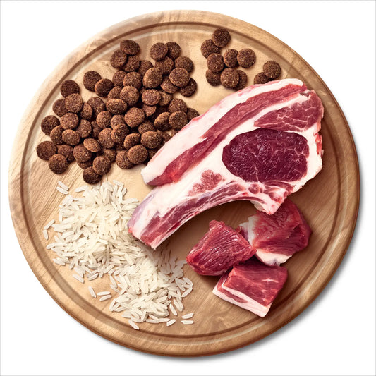 ADVANCE™ All Breeds Adult Dry Dog Food Lamb with Rice