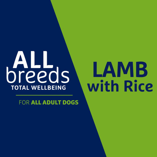 ADVANCE™ All Breeds Adult Dry Dog Food Lamb with Rice