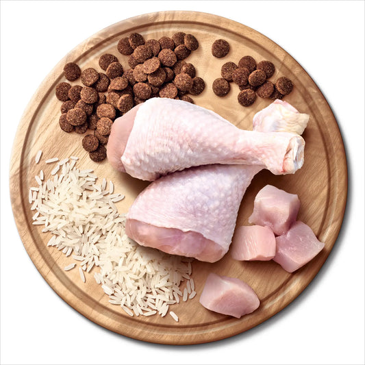 ADVANCE™ All Breeds Adult Dry Dog Food Chicken with Rice