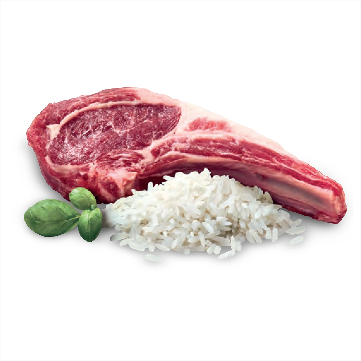ADVANCE™ Puppy Small Breeds Dry Dog Food Lamb & Rice