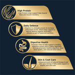 ADVANCE™ Adult High-Protein Grain-Free Dry Dog Food Lamb