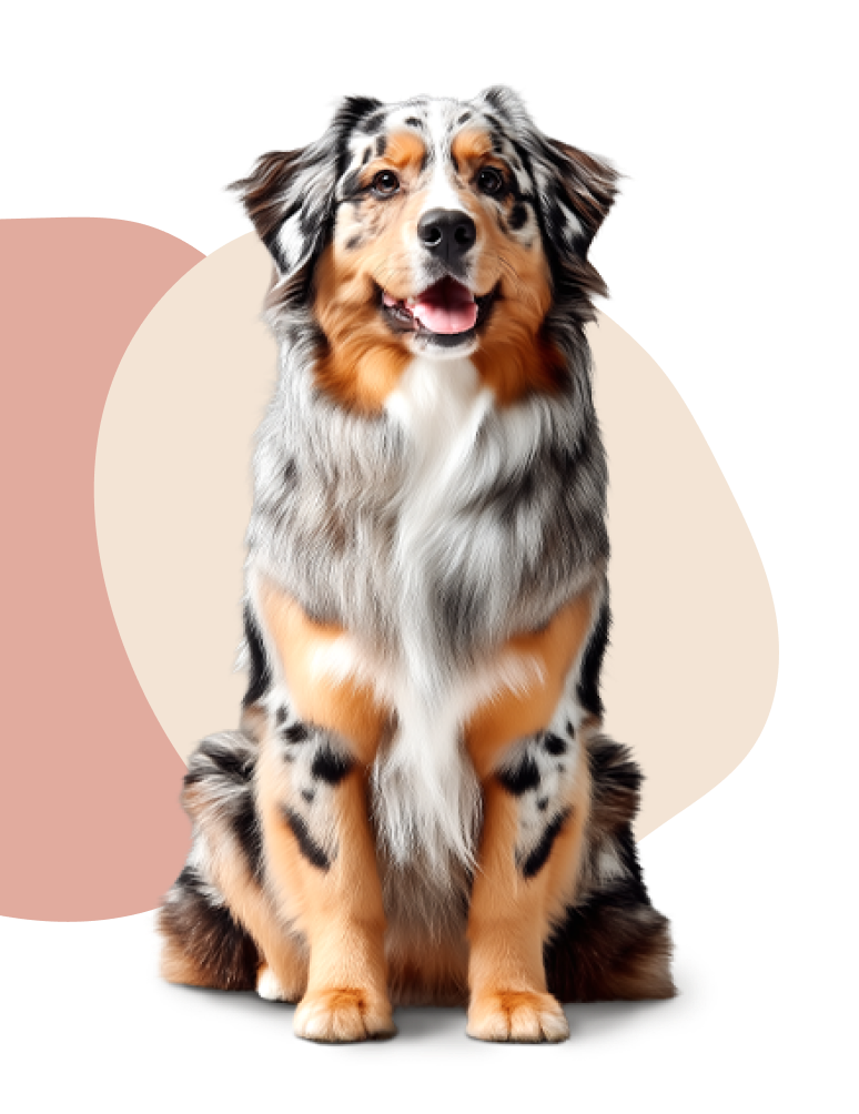 Dog Image