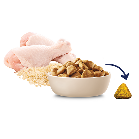 ADVANCE™ Mobility Adult Large Breed Chicken with Rice