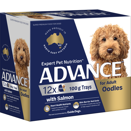 ADVANCE™ Oodles Adult with Salmon Trays