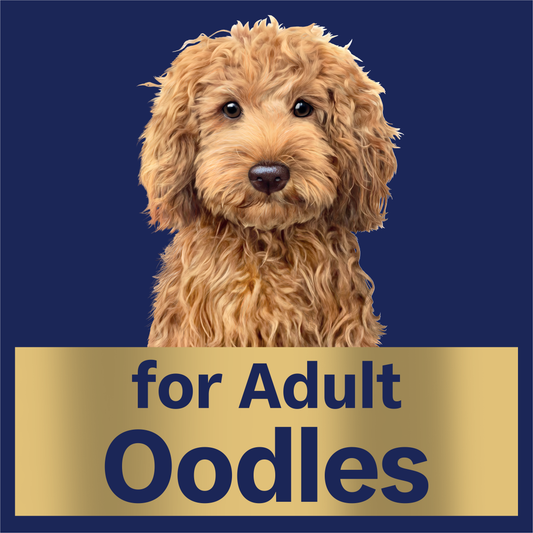 ADVANCE™ Oodles Adult with Salmon Trays