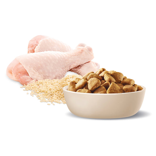 ADVANCE™ Healthy Weight Adult Large Breed Chicken with Rice