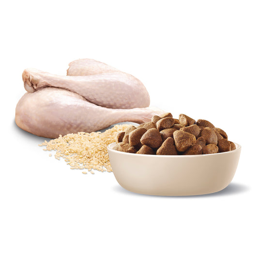 ADVANCE™ Adult Large Breed Turkey with Rice