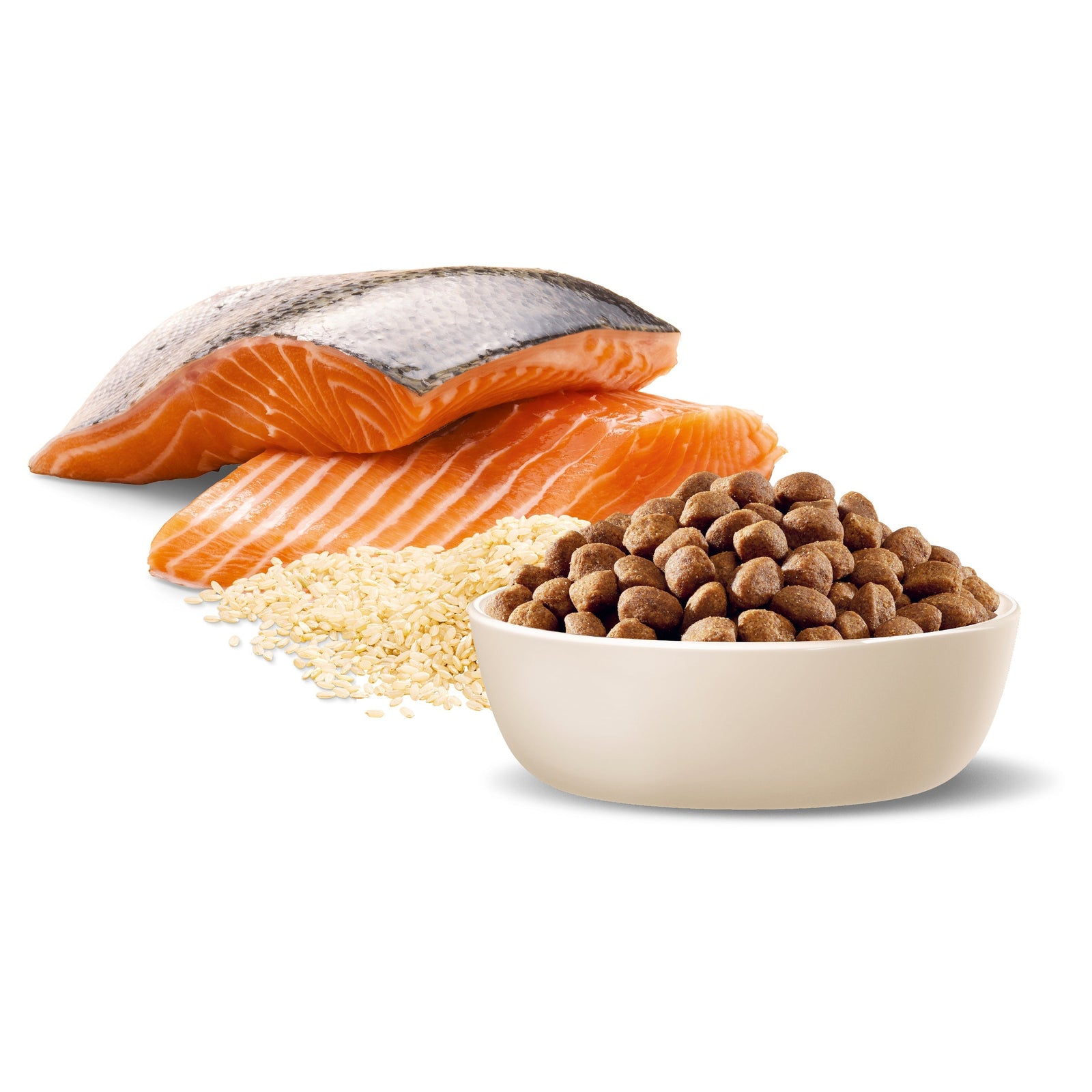 ADVANCE™ Oodles Adult Large Breed Salmon with Rice