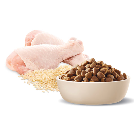 ADVANCE™ Adult Medium Breed Chicken with Rice