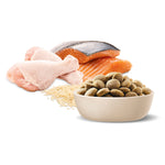 ADVANCE™ Retrievers Adult Large Breed Chicken & Salmon with Rice