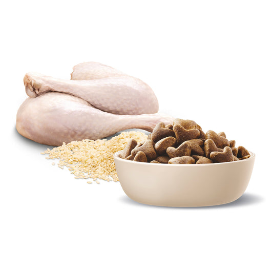 ADVANCE™ Shepherds Adult Large Breed Turkey with Rice