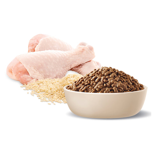 ADVANCE™ Healthy Ageing Small Breed Chicken with Rice