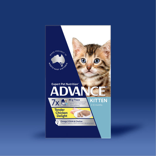 ADVANCE™ Kitten Tender Chicken Delight Trays