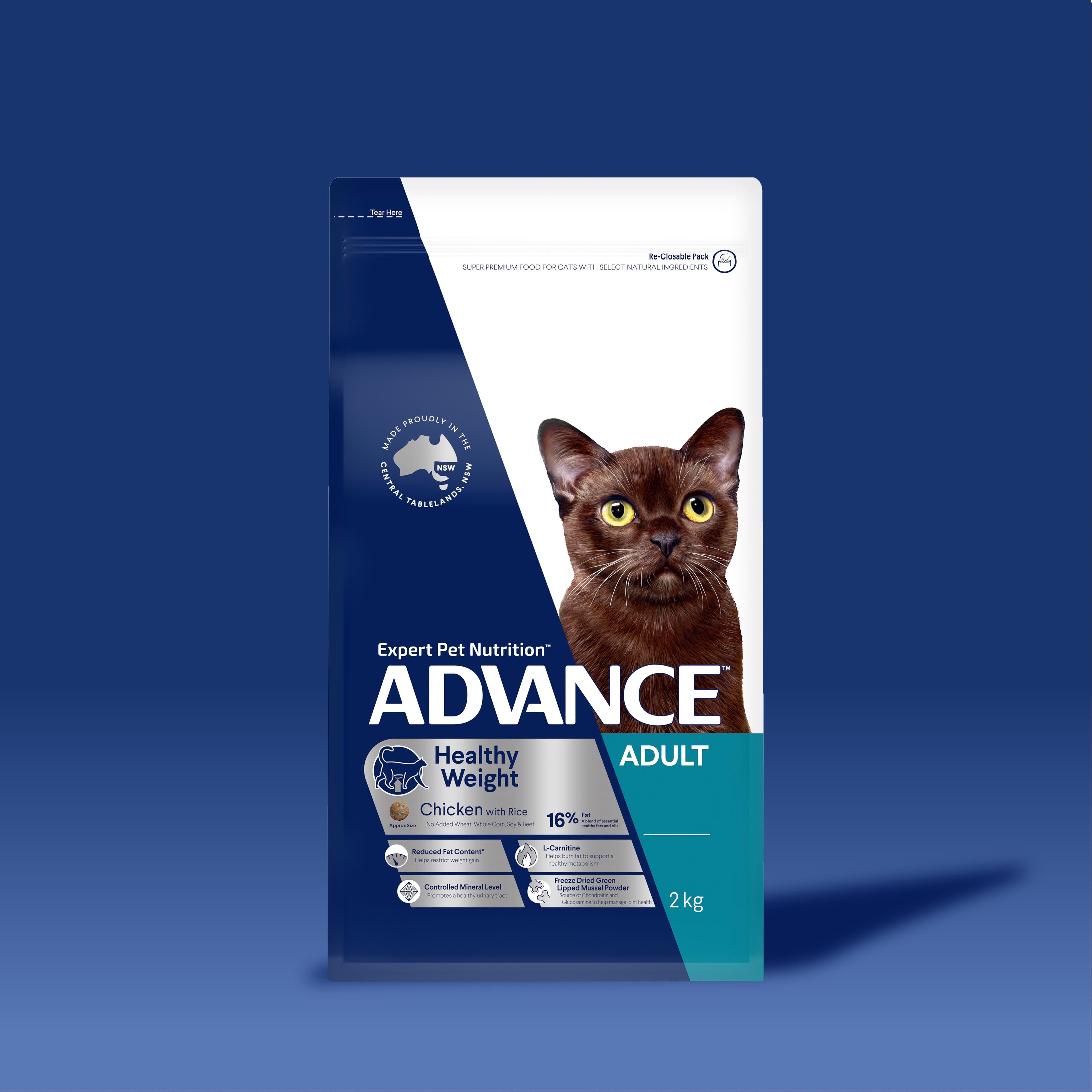 Healthy weight for sale an adult cat