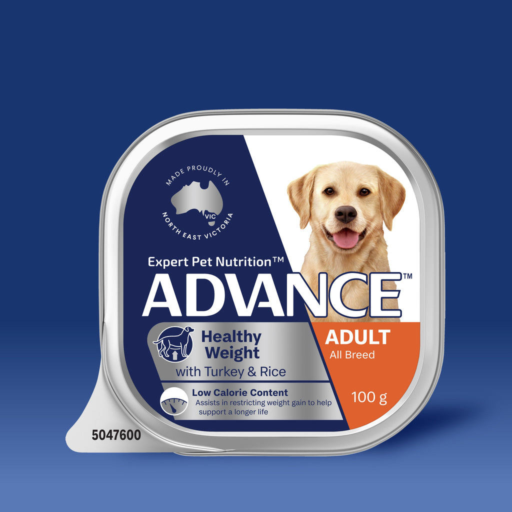ADVANCE Healthy Weight Adult All Breed Turkey with Rice Trays ADVANCE Pet