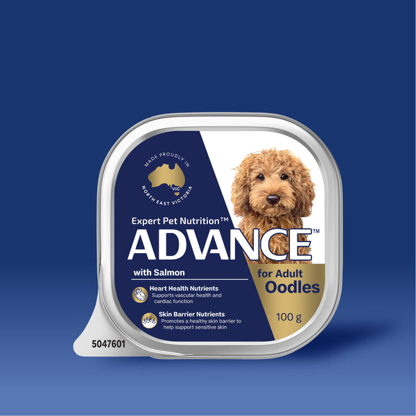 ADVANCE Oodles Adult with Salmon Trays ADVANCE Pet